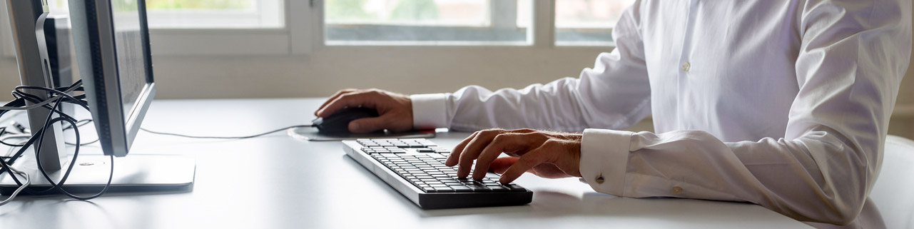 Header. A person working on their desktop computer.