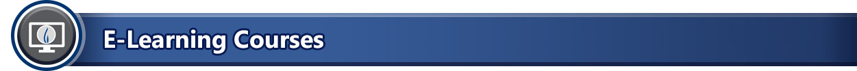 Section. E-Learning Courses.