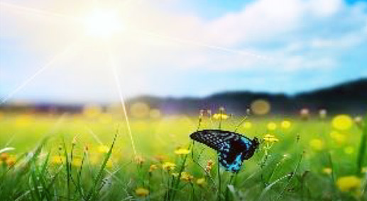Picture. Focus on Possibilities.