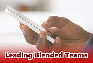 Picture. Leading Blended Teams.