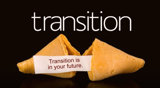 Picture. Making Effective Career Transitions.