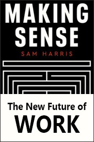 Podcast Summary. The New Future of Work.
