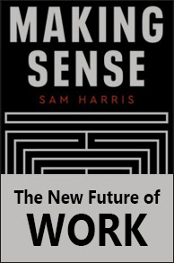 Podcast Summary. The New Future of Work.