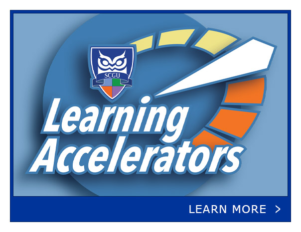 Banner. SCGU Learning Accelerators.