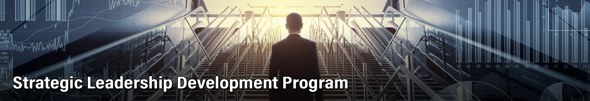 Header. Strategic Leadership Development Program.