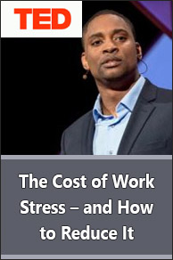 TED Talk. The Cost of Work Stress – and How to Reduce It.