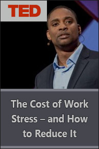 TED Talk. The Cost of Work Stress – and How to Reduce It.