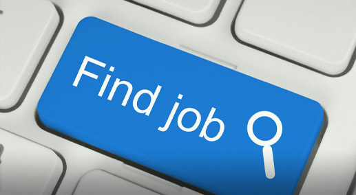 Picture. Using the 'My Info' Career Search Portal.