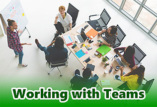 Picture. Working with Teams.